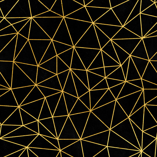 Papel de Parede com Padrões Geométricos - 137