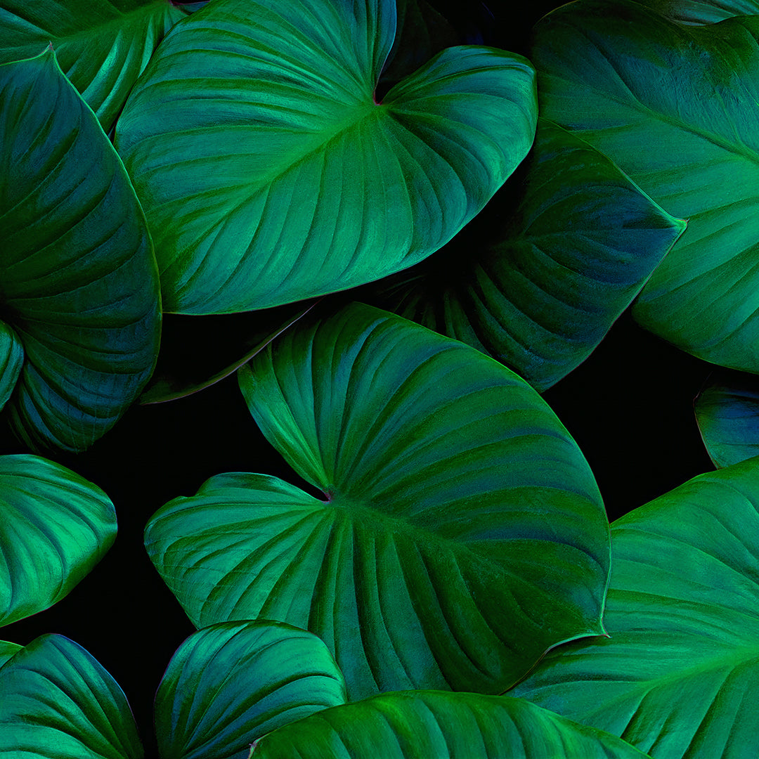 068