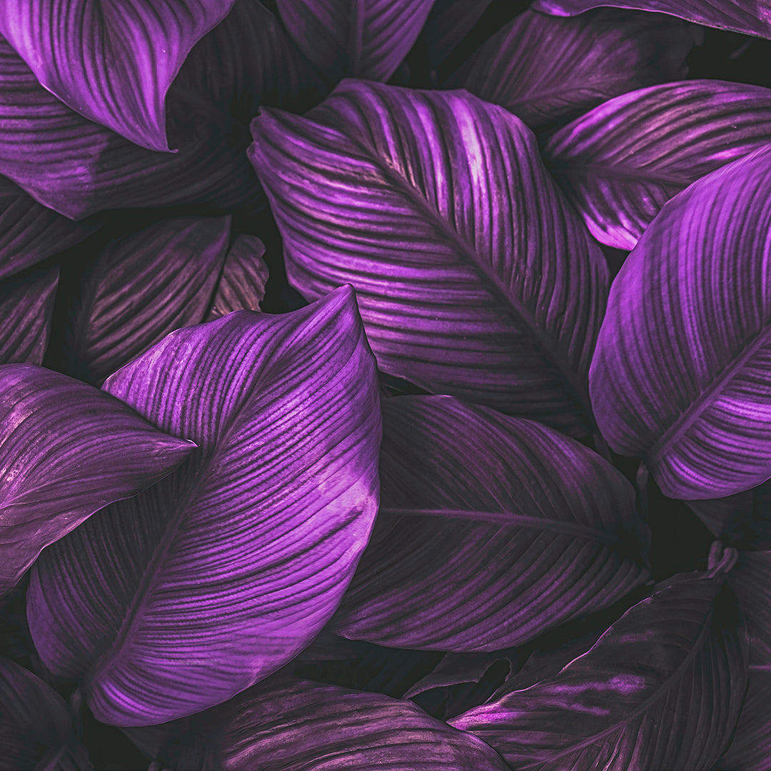 082