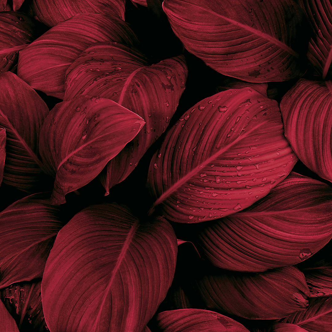 083