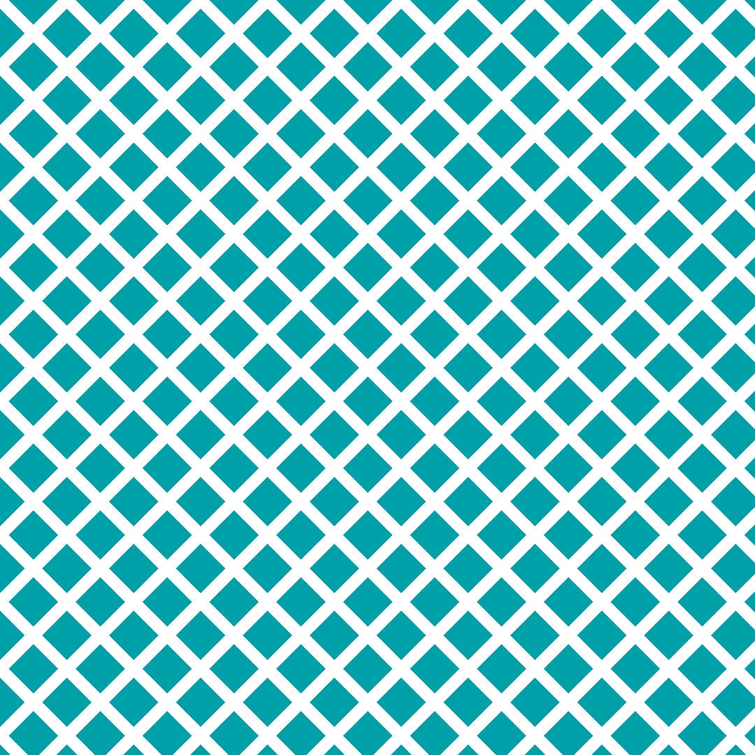 1003-N