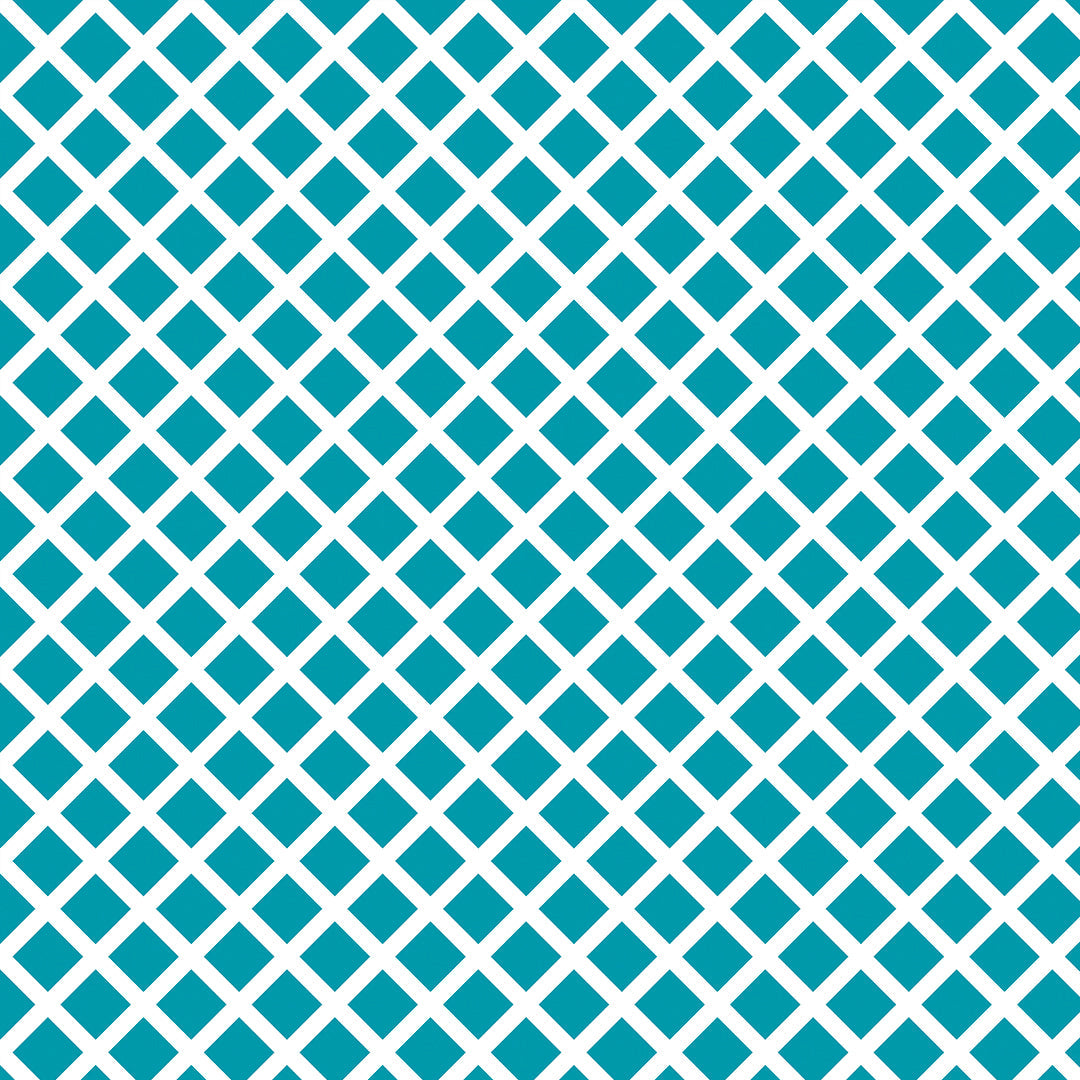 1003-O