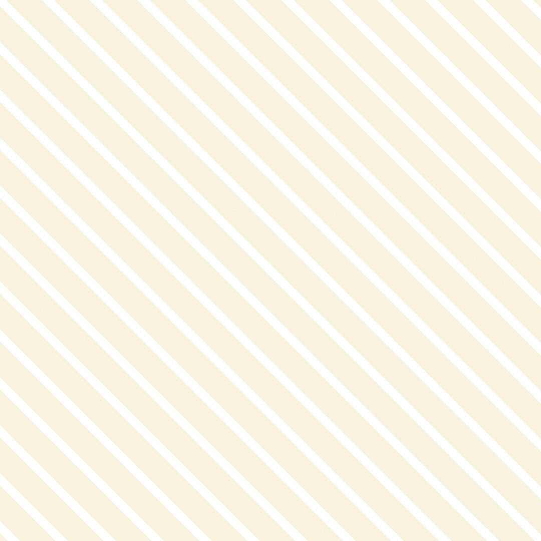 1006-E