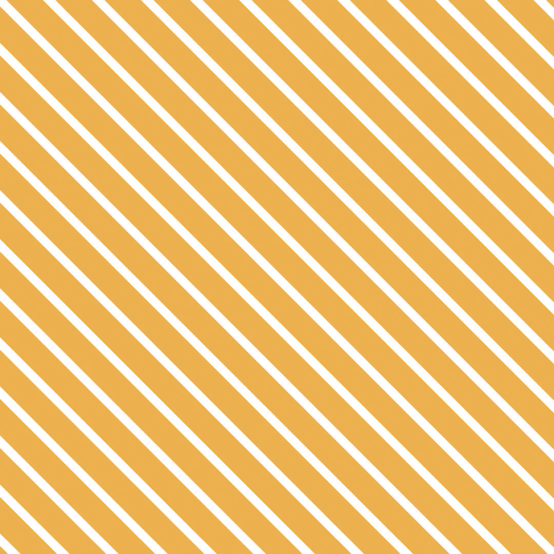 1006-K