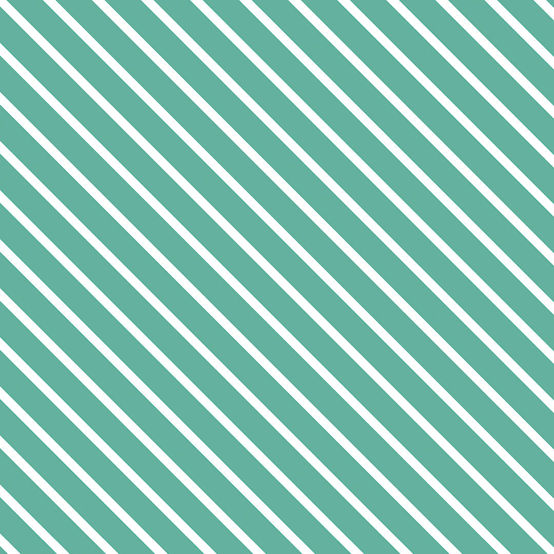 1006-M