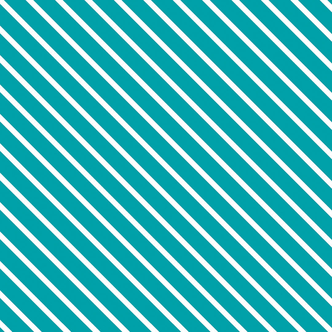 1006-N