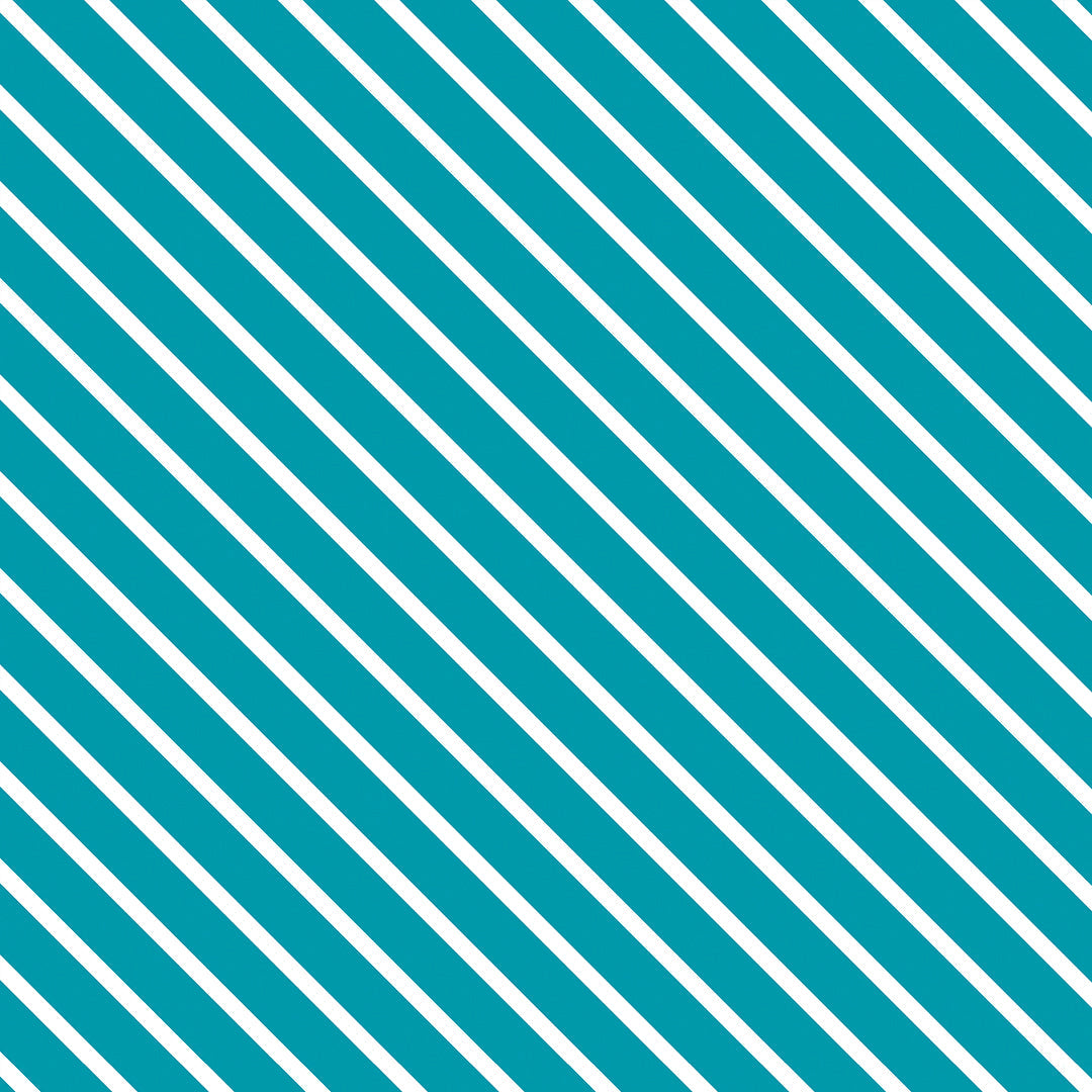 1006-O